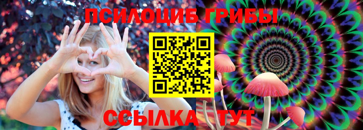 Псилоцибиновые грибы ЛСД  Вход с VPN  Кингисепп 