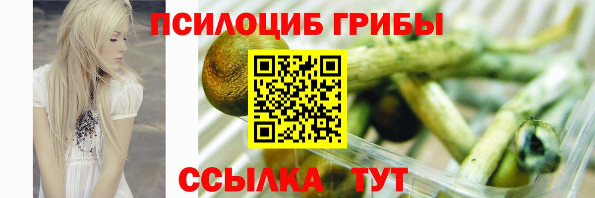 Псилоцибиновые грибы Magic Shrooms Кингисепп