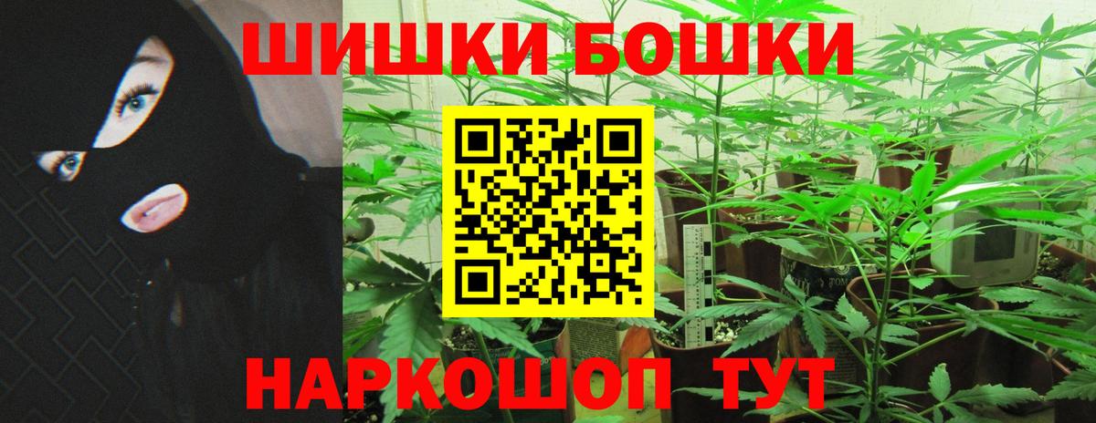 Бошки марихуана сатива Кингисепп