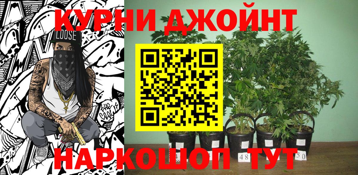 Шишки марихуана индика  Вход с VPN  Кингисепп  Каннабис LSD WEED 